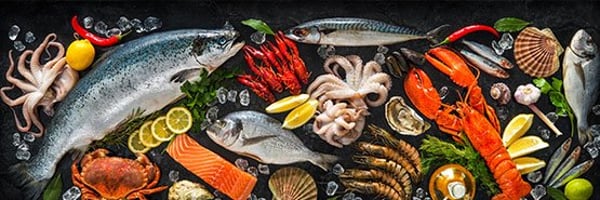 Andere visproducten