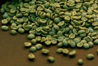 Caffè Verde Crudo Fusari in grani