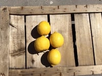 Limoni di Marsala BIO 1kg