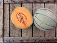 Melone Retato Siciliano di Marsala BIO 4kg