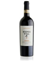 Amarone della Valpolicella Classico DOCG "Campo di Villa" - Nepos Villae