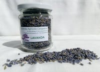 Lavanda essiccata in vasetto 20g