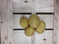Patate gialle venete Agata rete da 2 kg