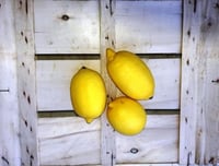 Limoni di Sicilia 5 kg