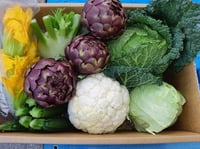 Cesto di verdura fresca di stagione 8kg