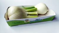 Finocchio BIO 500g