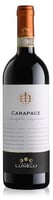 Carapace Montefalco Sagrantino DOCG BIO 2016 750ml