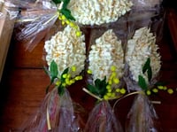 Mimosa meringosa di Cercepiccola 500g