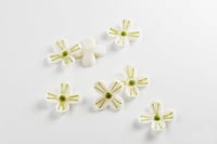 Decorazione fiore pesco verde 135 pezzi