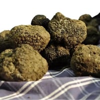Fresh summer black truffle 500g