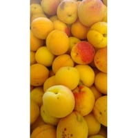 Round Apricot with Ribs 500g