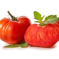 Ochsenherz-Tomate aus dem Varaita-Tal 1 kg