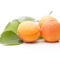 Round Apricot with Ribs 3kg