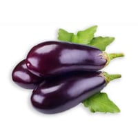 Purple eggplant from the Varaita Valley 3kg