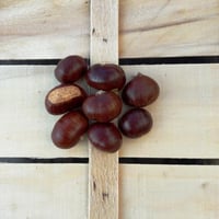 Monfenera IGP Treviso Brown Chestnuts 3kg