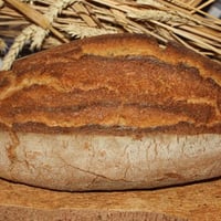 Pão fresco integral de trigo integral Senatore Cappelli 2kg