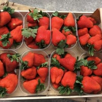 Bio-bakjes met aardbeien uit Verona in dozen van 2 kg