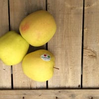 Goldene Bio-Äpfel aus dem Vinschgau 1 kg