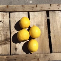 Limones de Marsala orgánicos, 1 kg