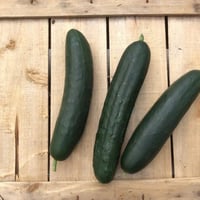 Organic Sicilian cucumbers from Ispica 1kg