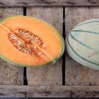 Melon retato sicilien biologique de Marsala, 1 kg