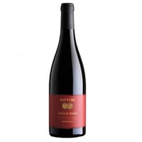Valpolicella Ripasso Superiore DOC “Col de la Bastia” - Fattori Wines