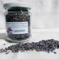 Dried lavender in a 20g jar