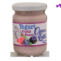 Yoghurt met rood fruit, 150 g, 4 stuks