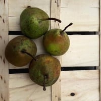 Peras Trentosso, frutas veronesas antigas (1 kg)