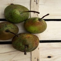 Peras de Trentosso, frutas veronesas antigas (5 kg)