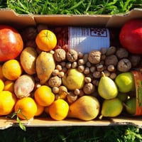 Cesta de outono: frutas frescas da estação