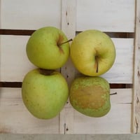 Golden Ruggine Äpfel von Verona, Kaliber 75, 3 kg