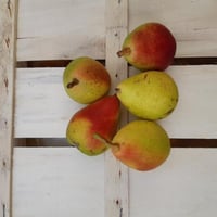 Santa Lucia-peer, oud fruit, 1 kg