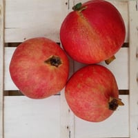 Frische Granatäpfel aus Pomegrani di Puglia 3 kg