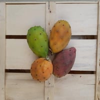 Sicilian prickly pears 5 kg