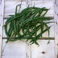 Emilian green beans 1kg