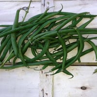 Emilian green beans 3kg