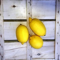 Citrons siciliens 1 kg