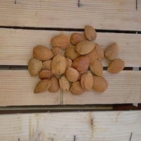Sicilian almonds 1 kg