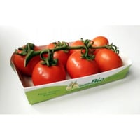 Organic cluster tomatoes 2 packs of 750g