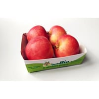 Biologische gala-appels, 2 pakjes van 600 g