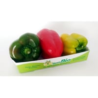 Organic colored peppers 2 packs of 500g