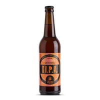 IPA birra artigianale Ca' Verzini 500ml