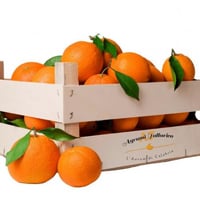 Naranjas Navel de Calabria, caja de 10 kg