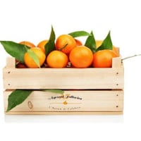 Tarocco-Orangen aus Kalabrien — Packung mit 10 kg