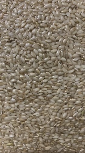 Arroz Carnaroli 500g