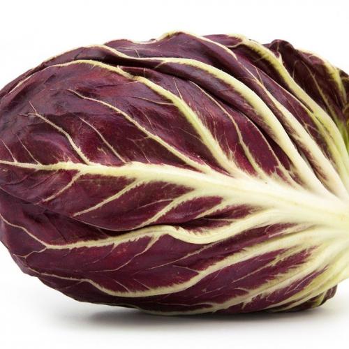 Chicória vermelha semilonga orgânica 5 kg