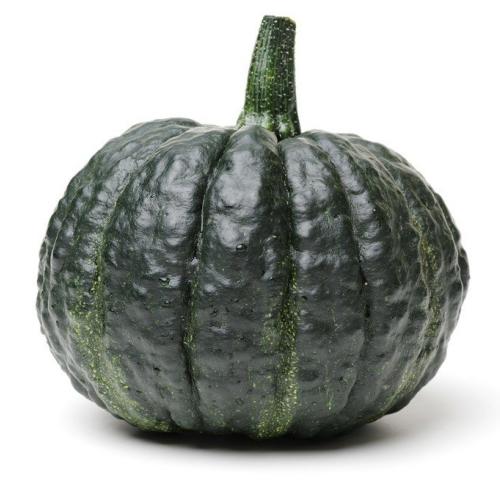 Iron Cup Pumpkin BIO 5kg