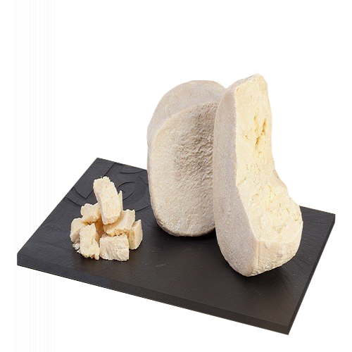 Cimbro di Fossa 1/4 in shape