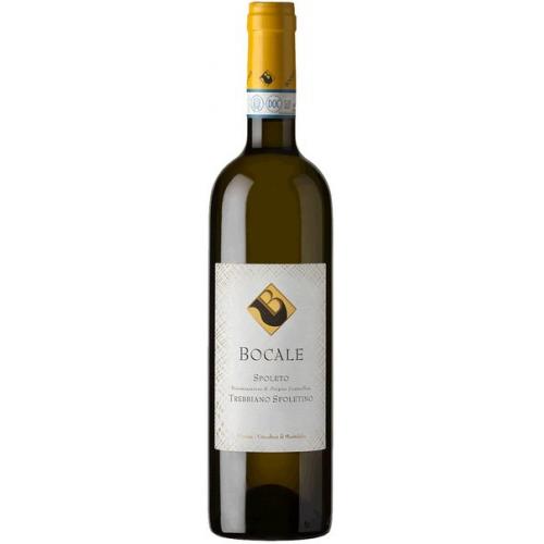 Spoleto DOC Trebbiano Spoletino 2019 750 ml